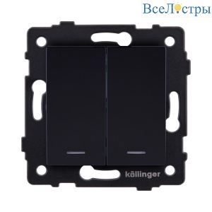 REA-S-008BK
