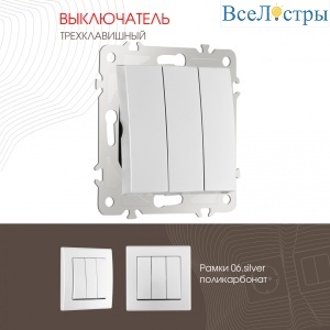 206.30-3.silver