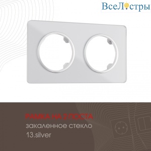 502.13-2.silver