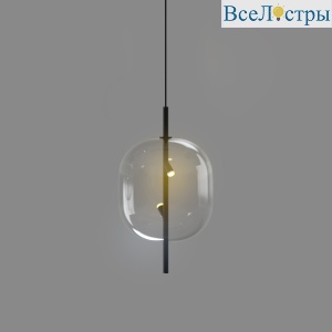 10018P/1 black/clear