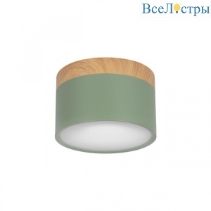 10162 Green