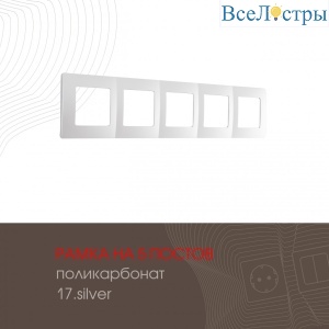 517.17-5.silver
