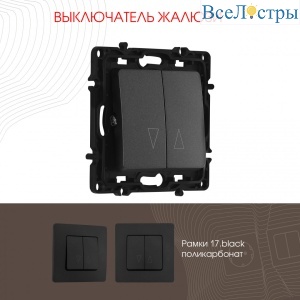 217.38-2.black