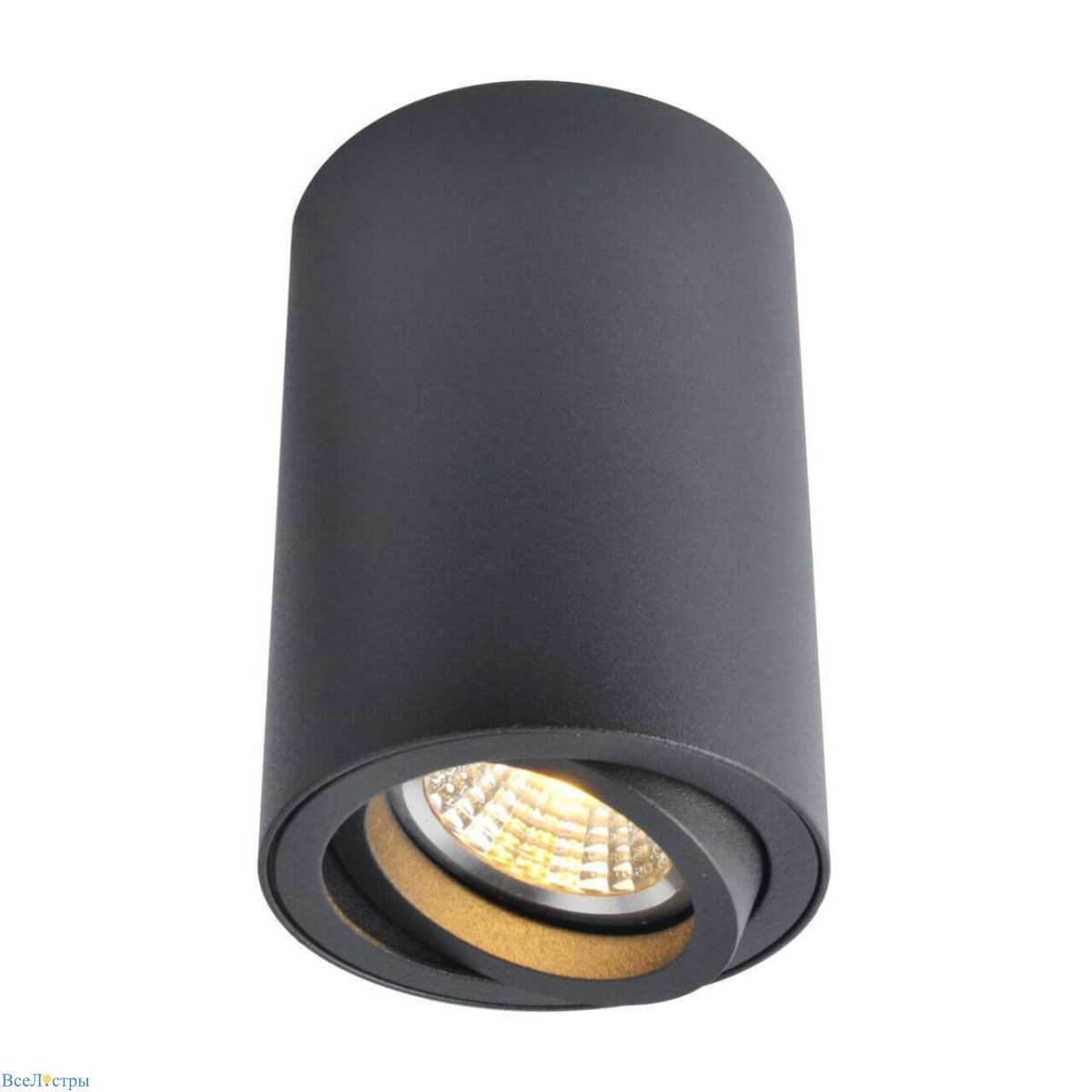 накладной светильник arte lamp sentry 1560 a1560pl-1bk