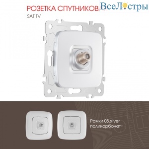 205.42-1.silver