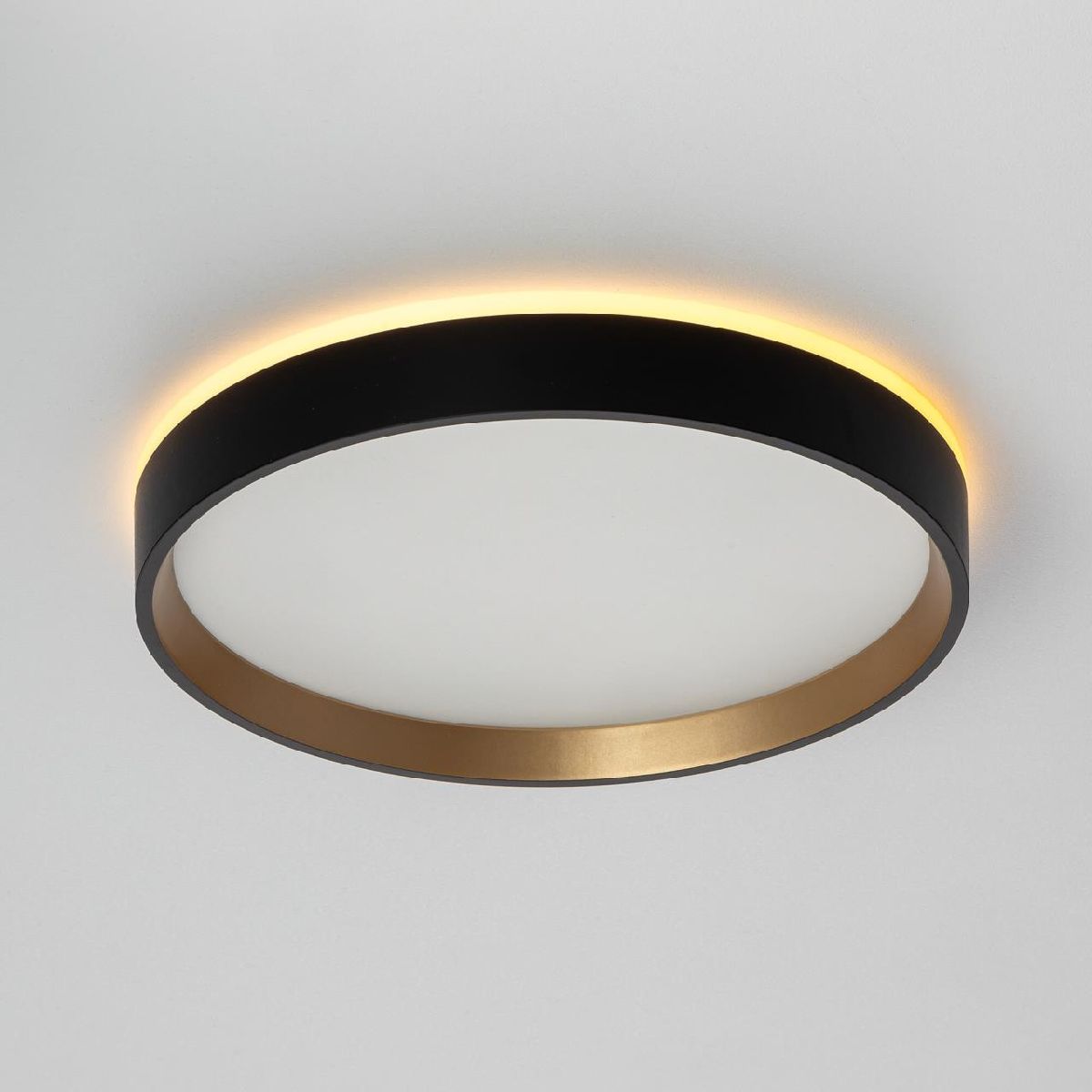 настенно-потолочный светильник citilux etalon cl750241