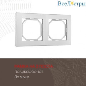 503.06-2.silver