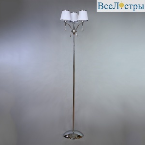 MA01625F/003 Chrome