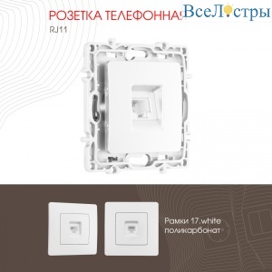 217.51-1.white