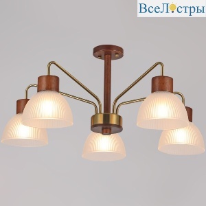 IL0286-5C-79 BR