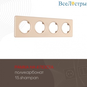 502.15-4.shampan