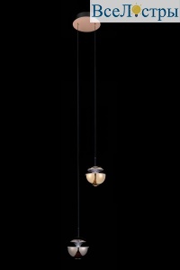 LE7711/2S Gold/Black Chrome