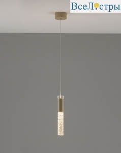 V10897-PL