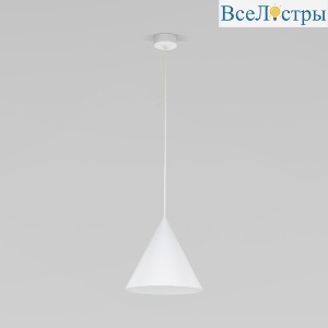 10008 Cono