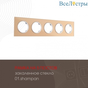 502.01-5.shampan