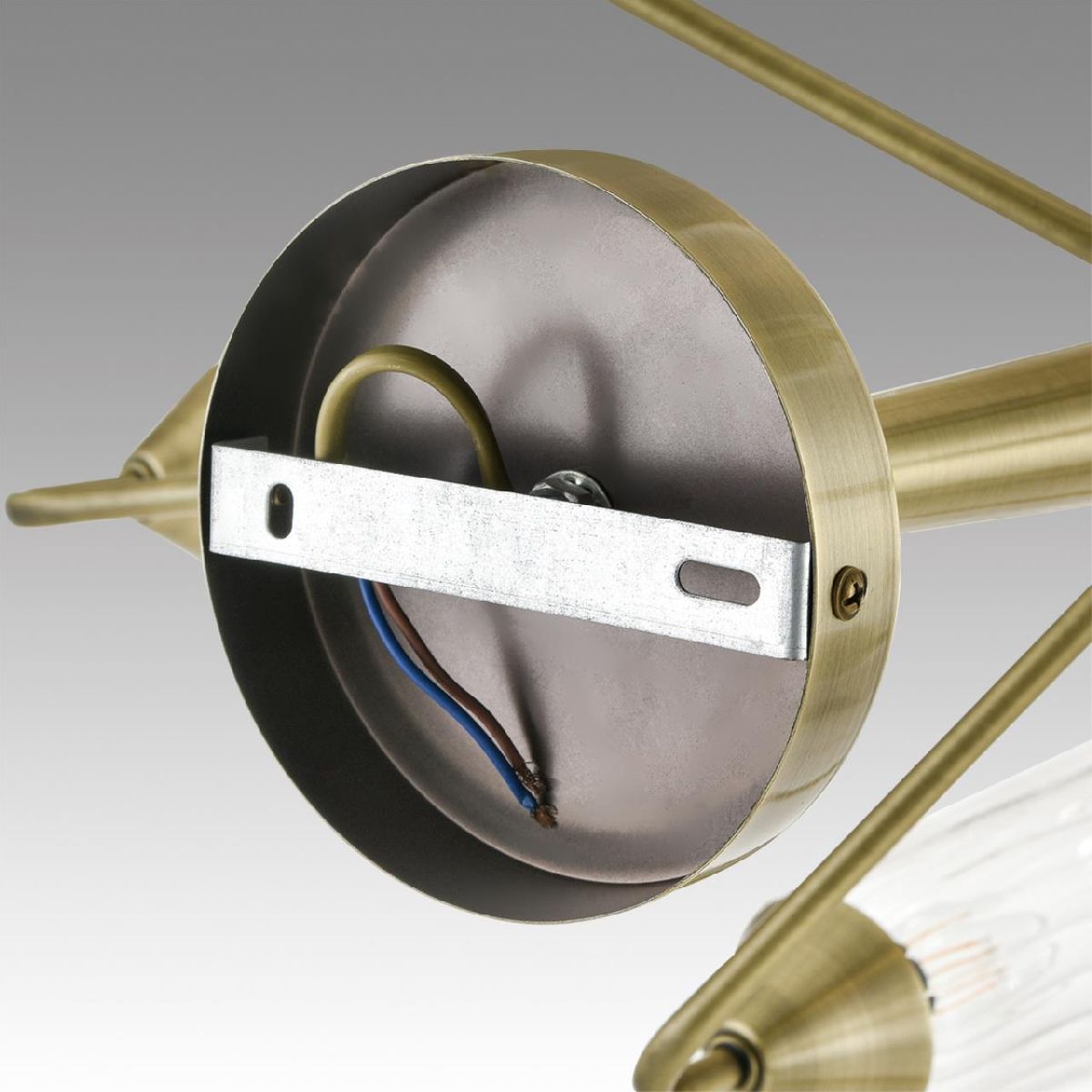 люстра на штанге lumion doliana 6584/8c