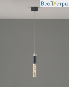 V10898-PL
