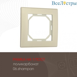 503.06-1.shampan