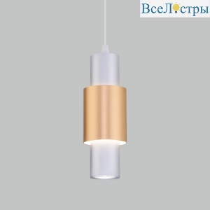 50204/1 LED матовое серебро/матовое золото