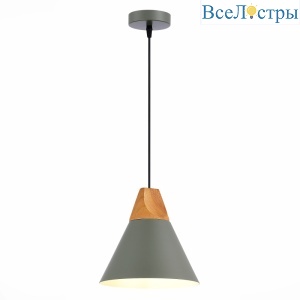 SLE125113-01