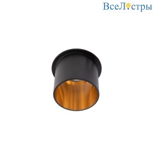 10343/B Black Gold