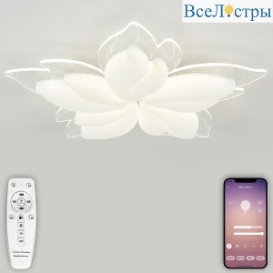 LED LAMPS 81118