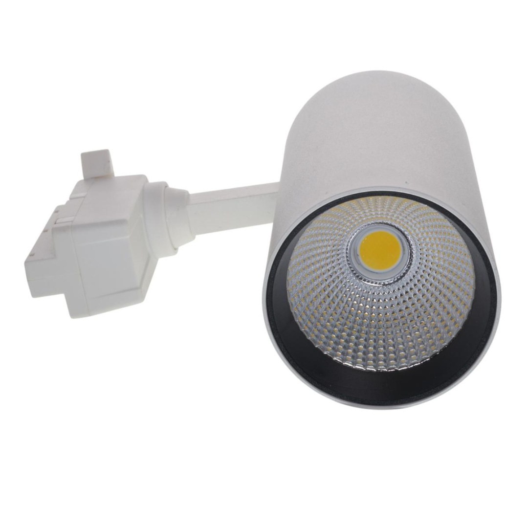 ULB-Q277 Volpe