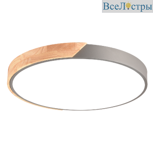LED LAMPS 81183