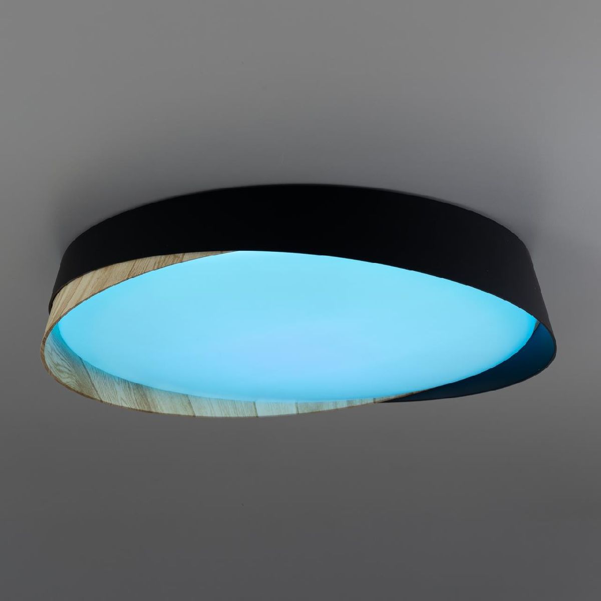 потолочный светильник citilux bonny cl754351g
