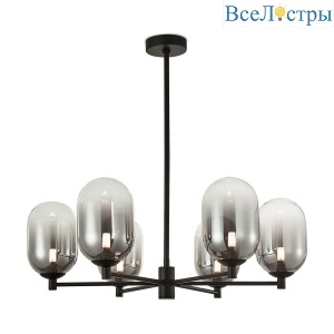 FR1011PL-06B