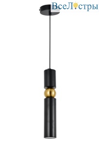 AM498 black + bronzing