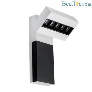 Focus Cold white/black/bl