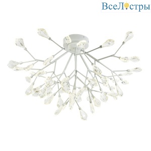 ML.6668.800 WH