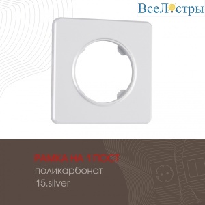 502.15-1.silver