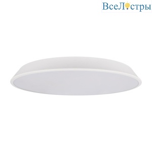 10226 White