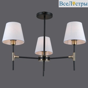 IL0185-3CSQ-24 BK AB CASTOR