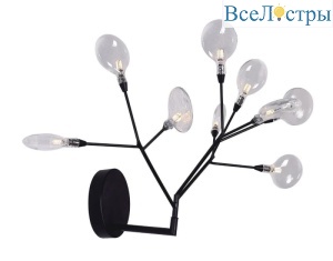 Evita AP9 BLack/Transparent