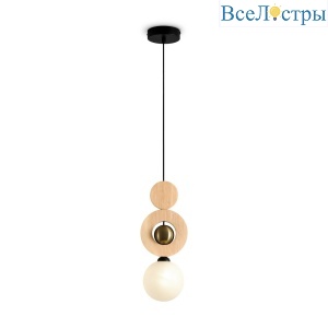 FR5593PL-01B1