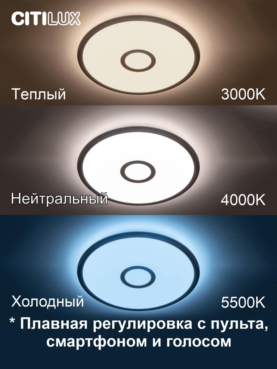 накладной светильник citilux cl703a30g