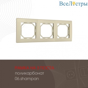 503.06-3.shampan