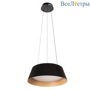 10224P Black