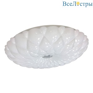 Б0051083