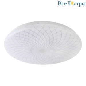 Б0043824