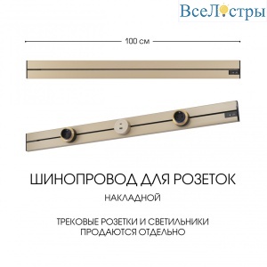 392301TO/100 Gold