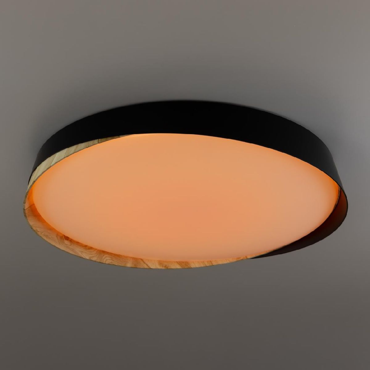 потолочный светильник citilux bonny cl754451g