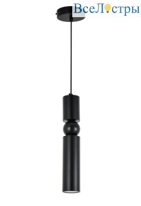AM498 black
