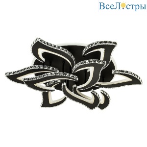L2839-9 BK