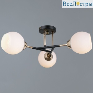 IL0689-3CSQ-24 BK FGD LIBRA