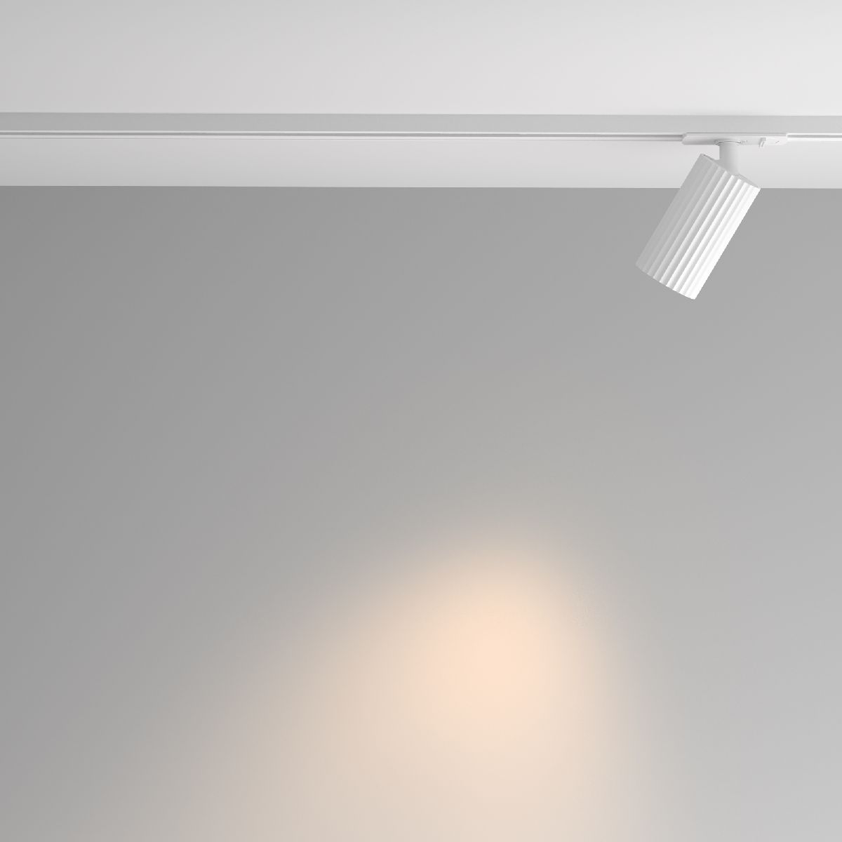 трековый однофазный светильник maytoni calipso tr218-1-gu10-w