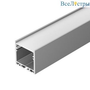 036196